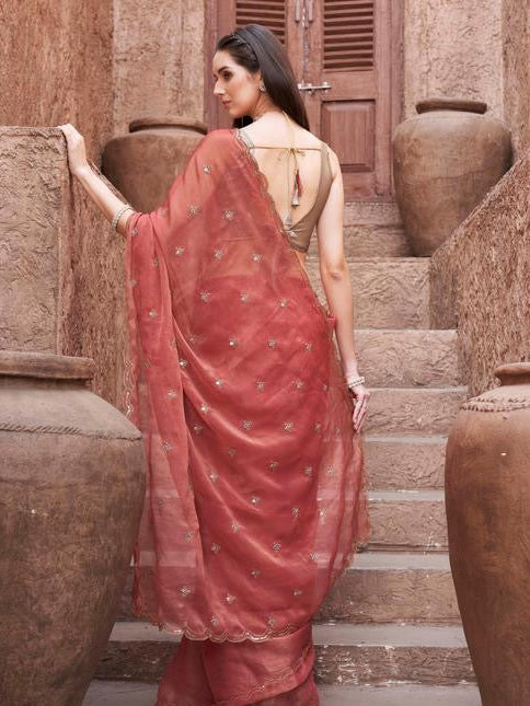 Mirror Embroidered Saree